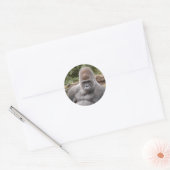 Sticker Rond Gorilla_021 (Enveloppe)