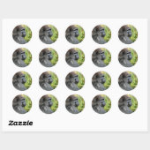 Sticker Rond Gorilla adulte (Feuille)