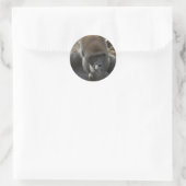 Sticker Rond gorilla cueillir son nez - eeeewwwwwww! (Sac)