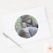 Sticker Rond Gorilla et bébé (Enveloppe)
