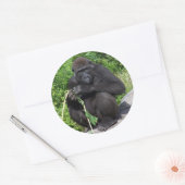 Sticker Rond Gorilla Lowland (Enveloppe)