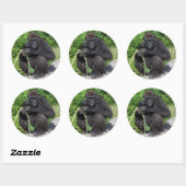 Sticker Rond Gorilla Lowland (Feuille)