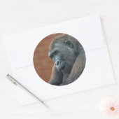 Sticker Rond Gorilla Shufai (Enveloppe)
