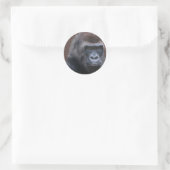 Sticker Rond Gorilla Silverback (Sac)