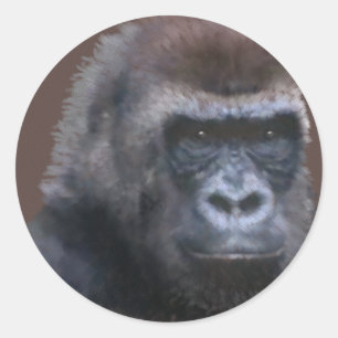 Sticker Rond Gorilla Silverback