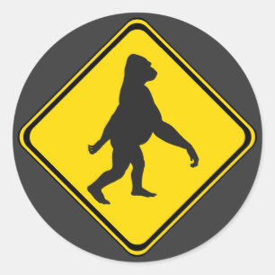 Sticker Rond Gorillas en marche !