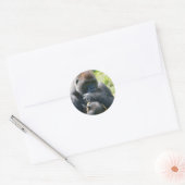 Sticker Rond Gorille D'Argent Et Sa Couverture (Enveloppe)