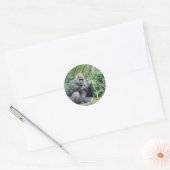 Sticker Rond gorilles (Enveloppe)