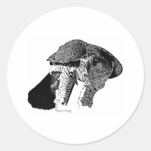 Sticker Rond Goshawk du Nord