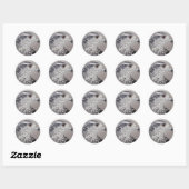 Sticker Rond Goshawk du Nord (Feuille)