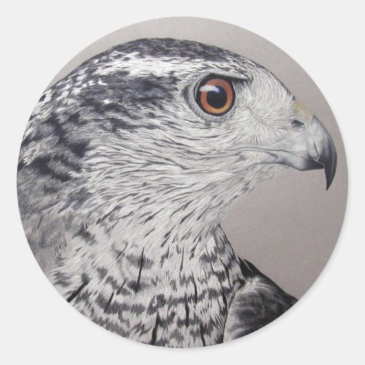 Sticker Rond Goshawk du Nord (Devant)