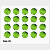 Sticker Rond goutte d'eau sur feuille (Feuille)