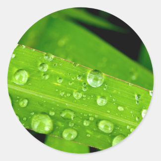Sticker Rond goutte d'eau sur feuille