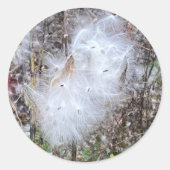 Sticker Rond Graines et soie d'algues (Devant)