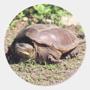 Sticker Rond Grand gars