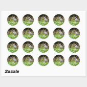 Sticker Rond Grand héron bleu (Feuille)