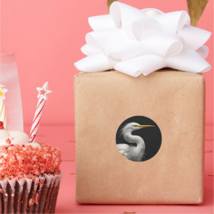 Sticker Rond Grand Portrait d'aigle blanche II