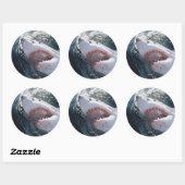 Sticker Rond Grand requin blanc en mer (Feuille)