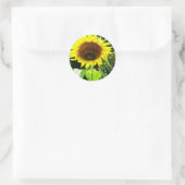 Sticker Rond Grand tournesol jaune (Sac)