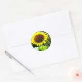 Sticker Rond Grand tournesol jaune (Enveloppe)