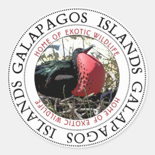 Sticker Rond Grande frégate Oiseau Galapagos