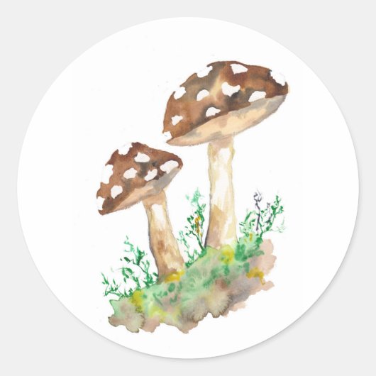 Sticker Rond Grands champignons Brown (Devant)