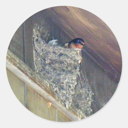 Sticker Rond Grange Swallow Series (Devant)