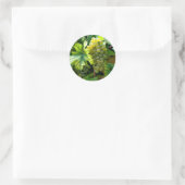 Sticker Rond Grapevine (Sac)