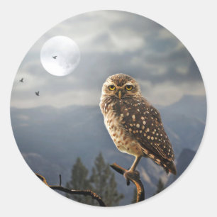 Sticker Rond Graphique de la lune d'hibou éffrayant