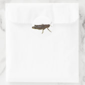 Sticker Rond Grasshopper Design (Sac)
