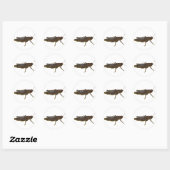 Sticker Rond Grasshopper Design (Feuille)