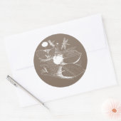 Sticker Rond Gravure de nénuphars (Enveloppe)