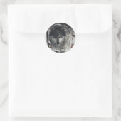 Sticker Rond GRAY PACK WOLF, collection (Sac)