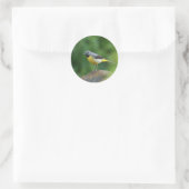 Sticker Rond Gray Wagtail - oiseau (Sac)