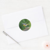 Sticker Rond Gray Wagtail - oiseau (Enveloppe)