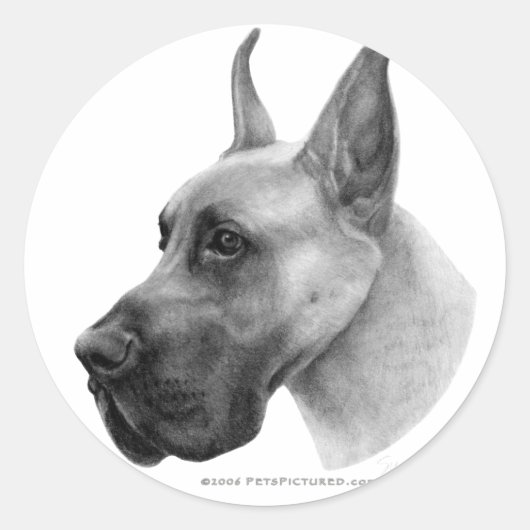 Sticker Rond Great dane (Devant)