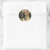Sticker Rond Great Dane - fawn / Dogge allemand - jaune (Sac)