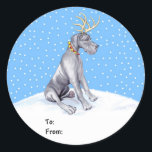 Sticker Rond Great Dane Reindeer Christmas Blue UC Tags cadeaux<br><div class="desc">Vêtus de bois et d'un collier de cloche à sonnette rouge,  les Dane Deer sont prêts à vous aider à entrer dans l'Esprit de Noël et sont sûrs d'être un favori.</div>
