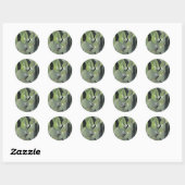 Sticker Rond Green Agave Feuille Botanique Photo Sud-ouest (Feuille)