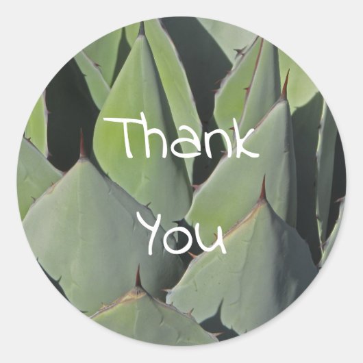 Sticker Rond Green Agave Feuille Botanique Photo Sud-ouest (Devant)