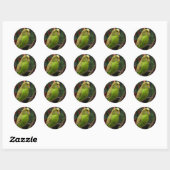 Sticker Rond Green Budgie (Feuille)