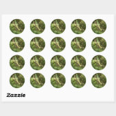 Sticker Rond Green Fairy Splashy Collage II (Feuille)