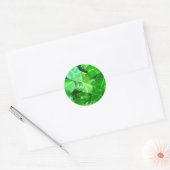 Sticker Rond Green feuille Palm Leaf feuillage tropical jungle (Enveloppe)