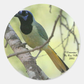 Sticker Rond GreenjayBy Kay Miller2007