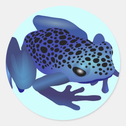 Sticker Rond Grenouille (Devant)