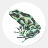 Sticker Rond grenouille à fléchettes (Devant)