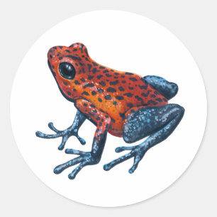 Sticker Rond Grenouille à tarte aux fraises