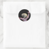 Sticker Rond Grenouille de singe cireux (Sac)