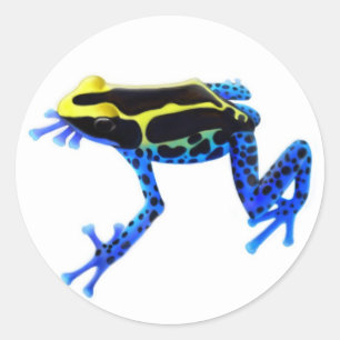 Sticker Rond Grenouille de teinture de poison