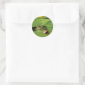 Sticker Rond Grenouille et Lily Pads (Sac)